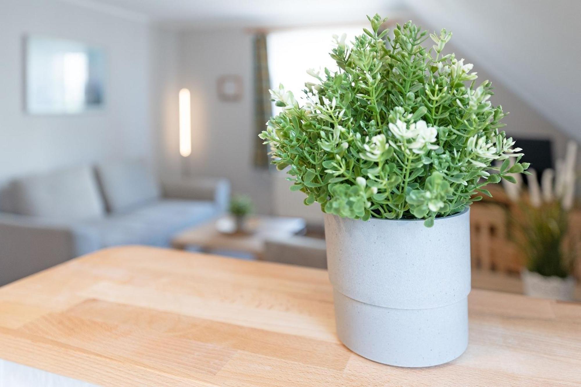 Fahrenkrug Nordlicht Apartment Scharbeutz Bagian luar foto